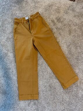 Everlane Cropped Straight Leg Pants